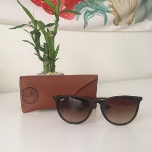 Ray Ban Erika Sunglasses